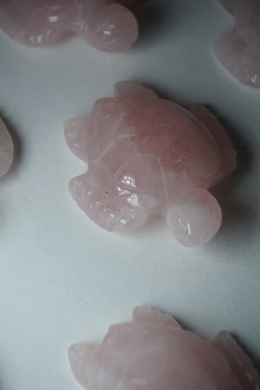 rose quartz crystal tortoise