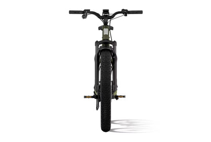 Vélo électrique Aventon Aventure.M