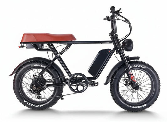 CEMOTO EB66 | Vélo électrique Harley-Like Hi-Tech 750W à double batterie
