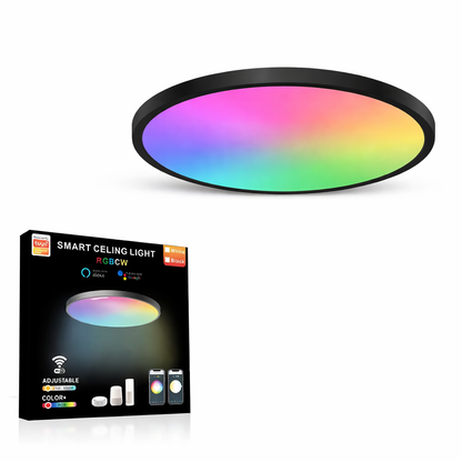 Smart WiFi RGB Ceiling Light 24W App Control Alexa Google Home Bedroom Lamp