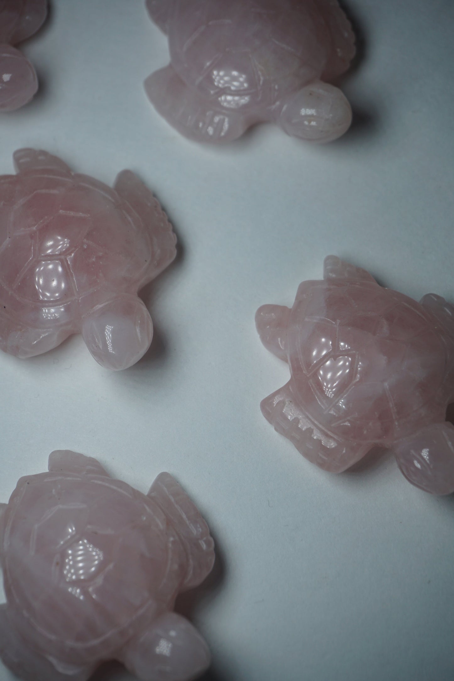 rose quartz crystal tortoise