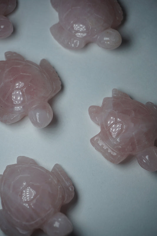 rose quartz crystal tortoise