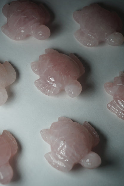 rose quartz crystal tortoise