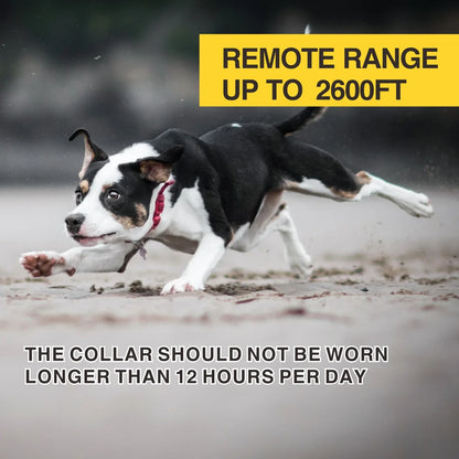 Dog Training Collar 800M Remote Waterproof Rechargeable No Bark Control Collar 2in1